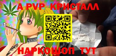 кокс Кингисепп